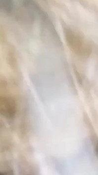 다시 Yaya를 이길 참을 수 없는 Exboy