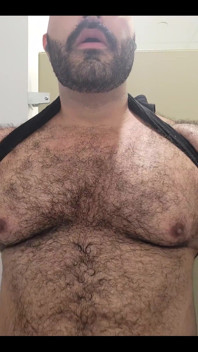 Solo Bear