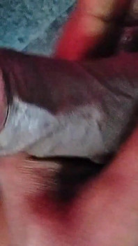 Man Masturbating Solo Episode 4