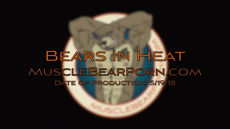 Muscle Bear Porn: Urși în călduri