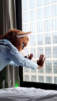 Bez siodełka Femboy Furry Fursuit jebanie przed oknem
