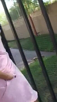 Gagica imploră două pule mari și negre - Am lăsat băieții mei să o distrugă
