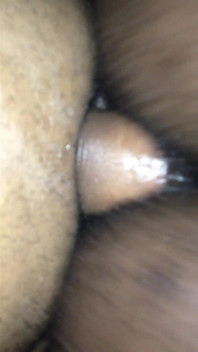 Black Breeders 50