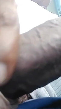 Sexy Cock
