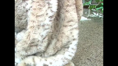 Vintage megastore: Troie nere cavalcano e allargano le gambe per dei mostruosi...