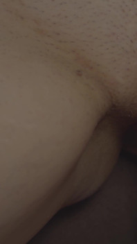 Une chatte se fait tasser