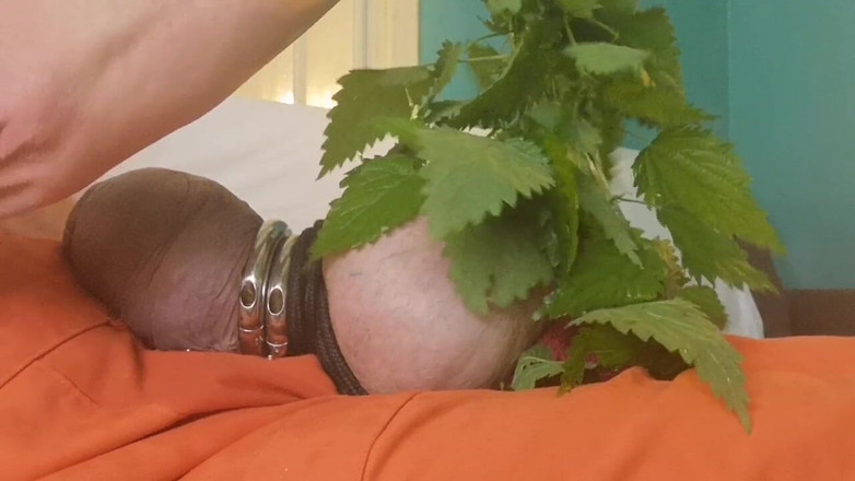 Monster_Meat_: Nässlor är mycket hetare än elektroleksaker