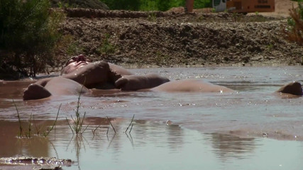 MuddyChubby: Deep, Creamy Brown Mud Bath in a Sand Pit