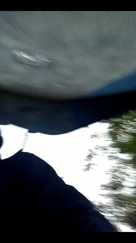 3669393847.mp4