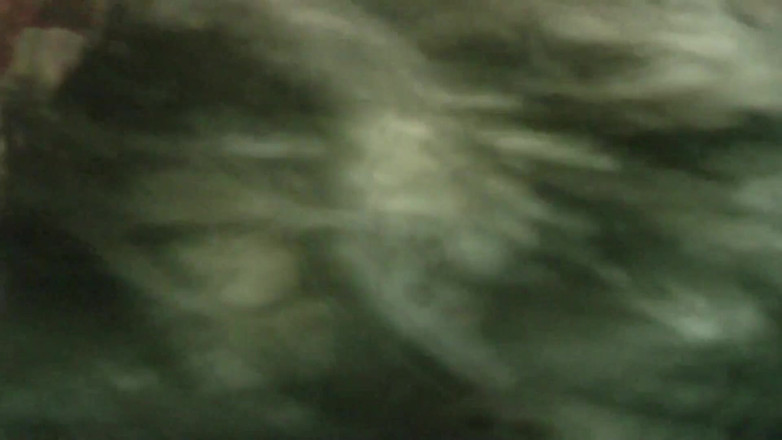 King Of Amateur: De bioscoop van swingers