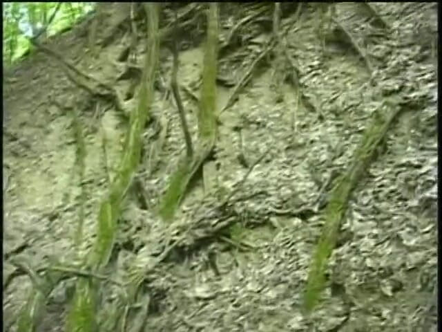Boy Zone: Amateur boy masturbating in the forest