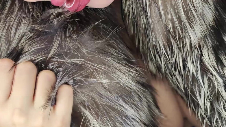 Princess18_: 湿漉漉的毛皮外套，两次射精