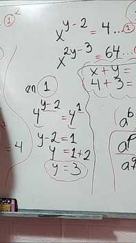25 algebra: Oblicz X + Y - matematyka seksualna