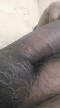 Superrápido pau grande