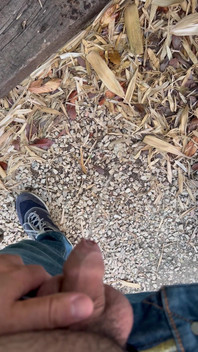 Peeing in the Garden