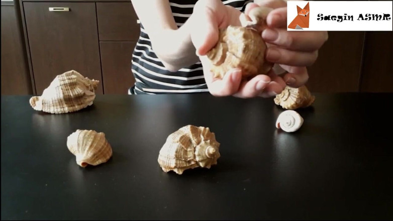Saegin: 2[ASMR] Rubbing together and scratching seashells (no talking)