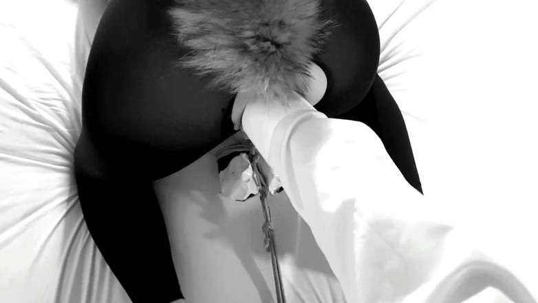 Bdsmlovers91: Kinktober Den 24 - Pet Play Kink - Hraní s mým kotěm, dokud...