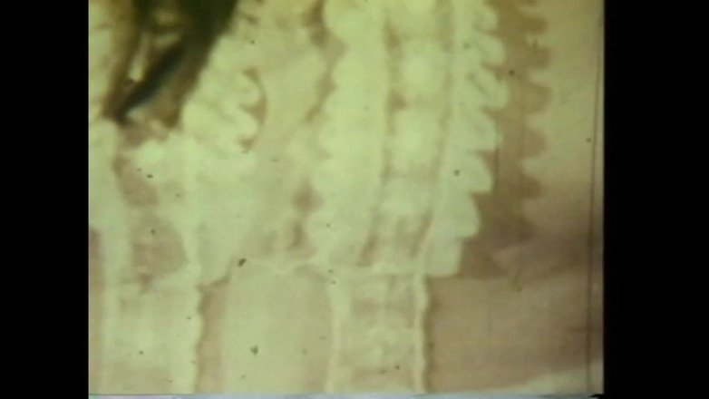 The Unforgettable: Den galna masturabada