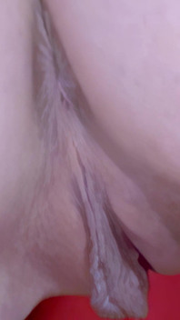 Hot Little Brunette Wendy Dancing and Stripping
