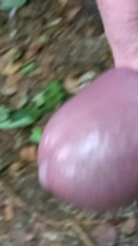 Gran polla sin cortar caminando, meando, masturbándose en el bosque con cuerdas - Rockard Daddy