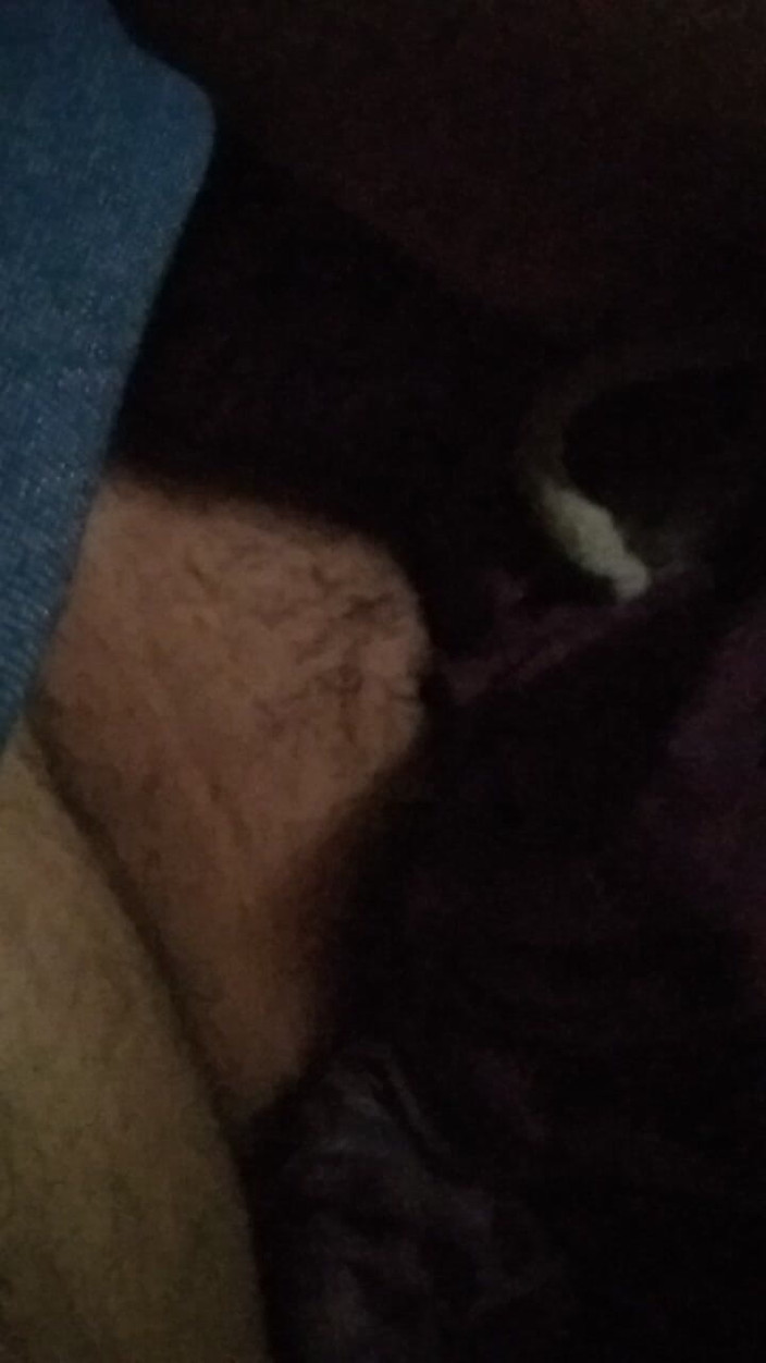 Alina studio: Codzienne osobiste wideo