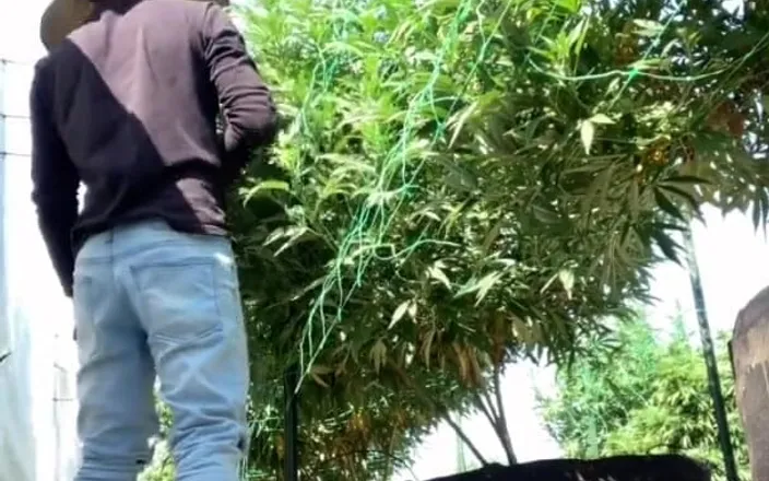 Xooshua (xblue18): I Want to Fuck You in the Field