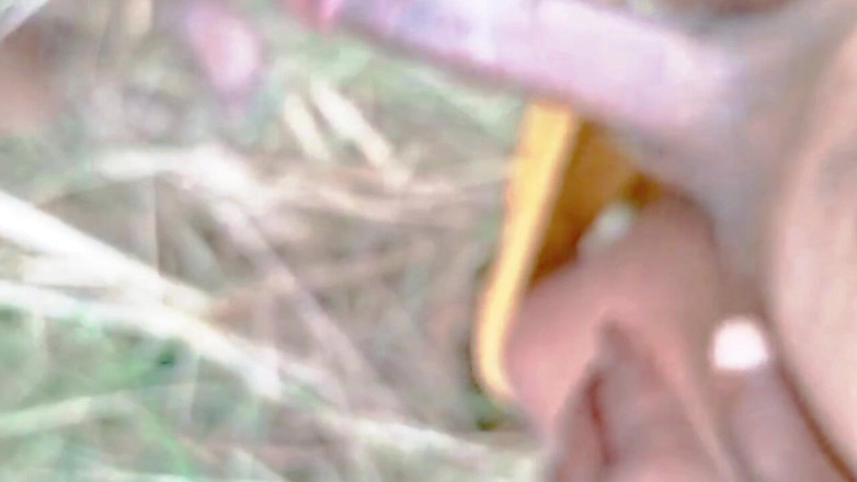 Boyfriend: Chị dâu của anh ấy bị chôn trong rừng 