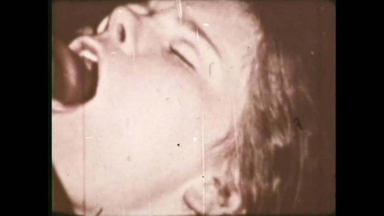 The Unforgettable: De Wilde Veulen