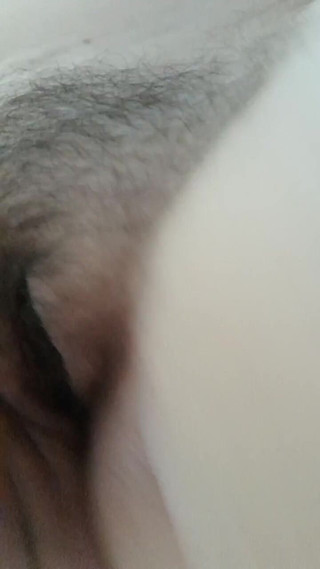 Chubby Sex Symbol: 你的巨人继母坐在你的脸上，这样你可以品尝她的阴户