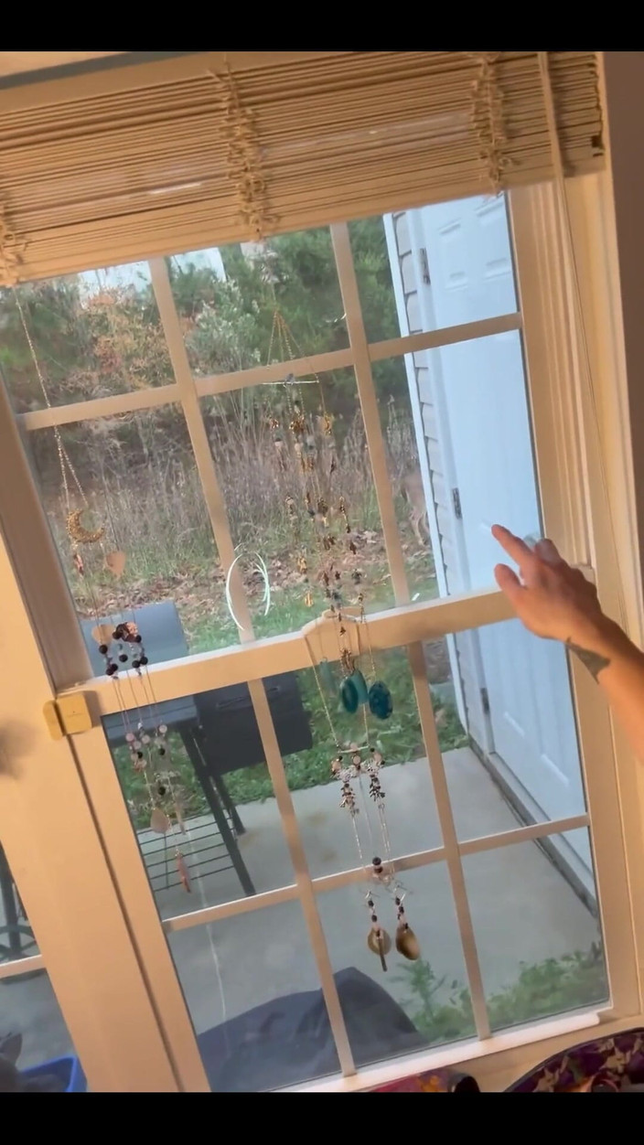 Suzy Wylde: 3575796123.mp4