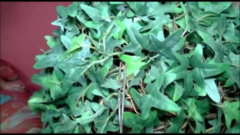 Deutschland porn: Vzdálené páry se hledají