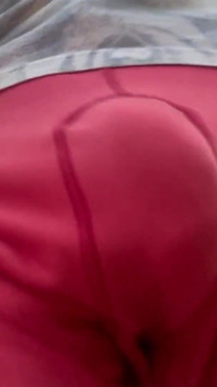 Bulge Walk in a Forest