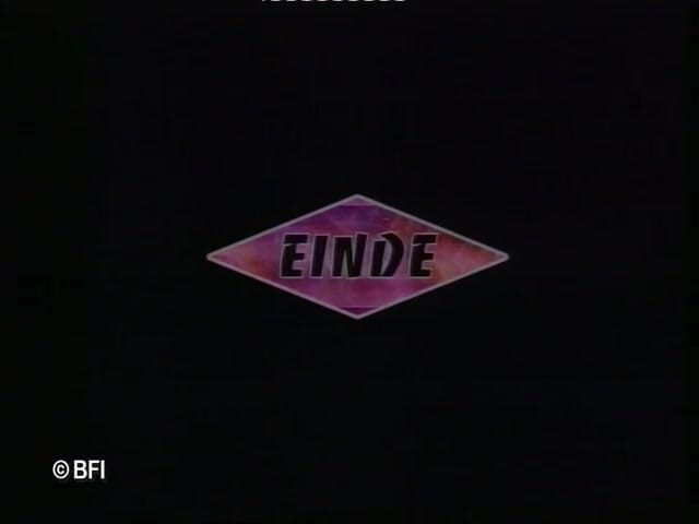 The Bi Gang: Manželé, kteří milují ptáky