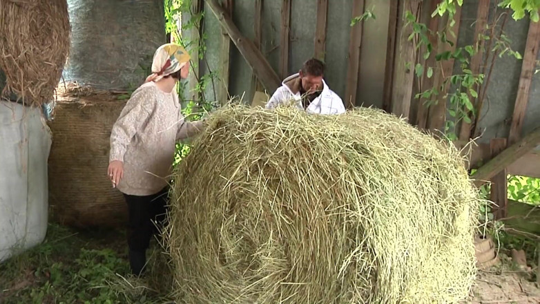 King Of Amateur: The Farm of the Perverse Peasant Women
