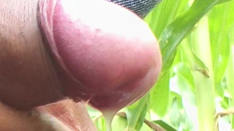 rkhydzstvcc: Na całym świecie wirusowe Desi Hunk Solo Action Vol 13 - Premium Faceless...