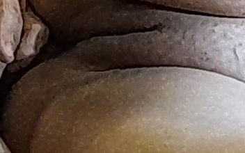 Naughty Brazilian Couple Pt 7 – Naughty Little Ant