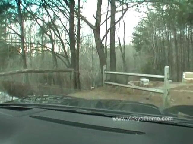 Vicky Vette: Day Out