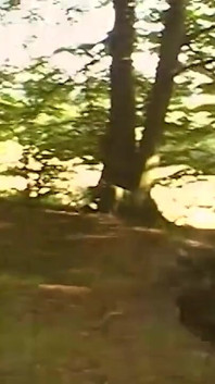 Bionda amatoriale nella foresta