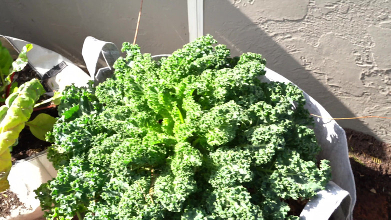 PornDudeCasting: Misha Cross