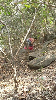 Het dorpsmeisje gevonden in de jungle