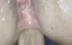 Ngentot pantat ara hot