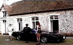 지배 레즈비엔 DVD