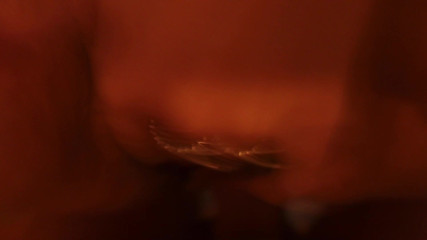 Sitivintage: Fucking in front of the fireplace