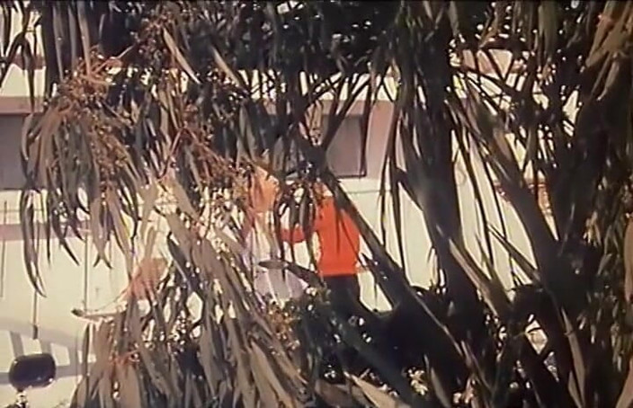 GERMAN PORN CLASSICS: Marilyn - Seks Panas Di Bawah Pokok Palma