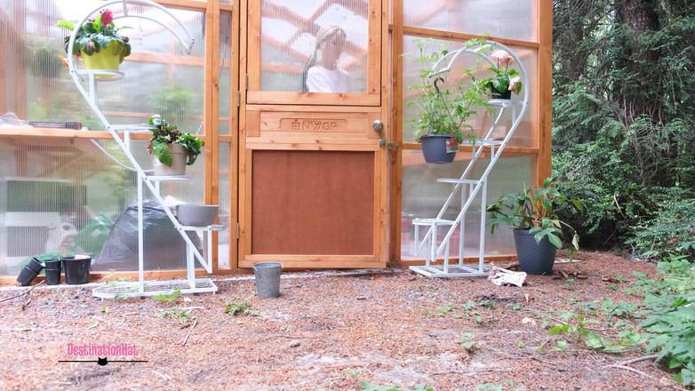 Destination Kat: Många kissa pee komp