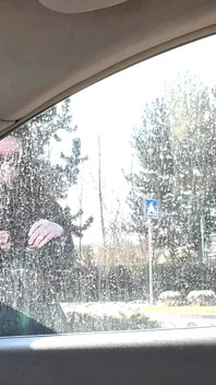 Hairy Pussy Alisa Squirts a River in My Car