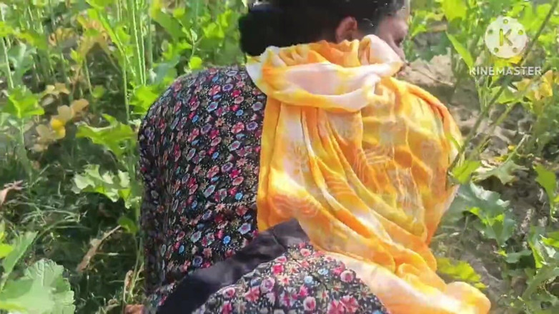 Savita5343: Bhabhi desi kampung dikongkek dalam padang mustard dalam gaya doggy....