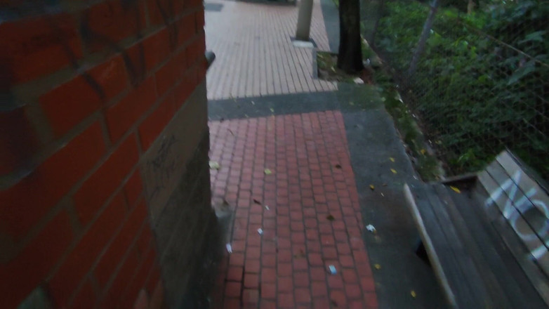 DiablaLatinaTour: O columbiană face sex în public cu un turist