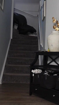 Life in a Bitchsuit - Femdom Bondage Slave