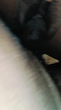 Bihar Tr Romantyczne formaty wideo dostępne do pomocy